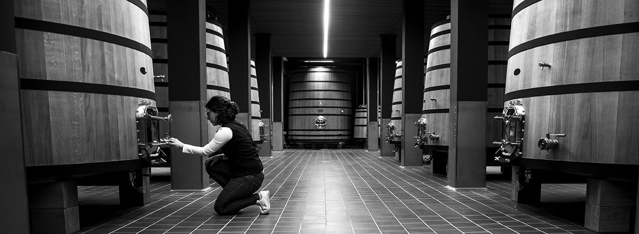 Carraovejas_red filosofía alma Carraovejas