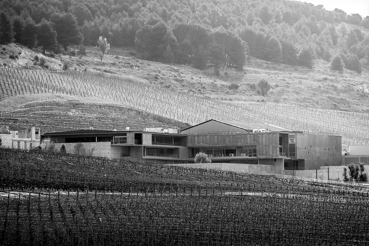 Bodega Pago de Carraovejas